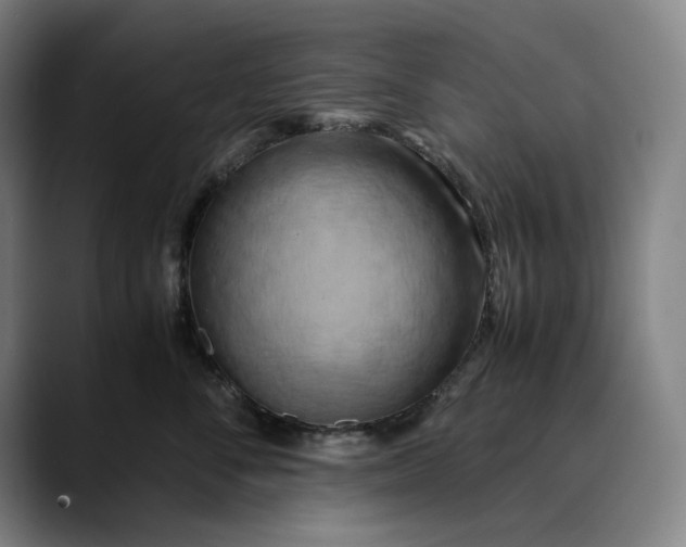 X0000089690716200707121336