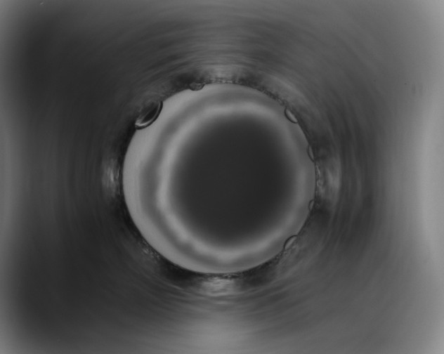 X0000089690718200707121336