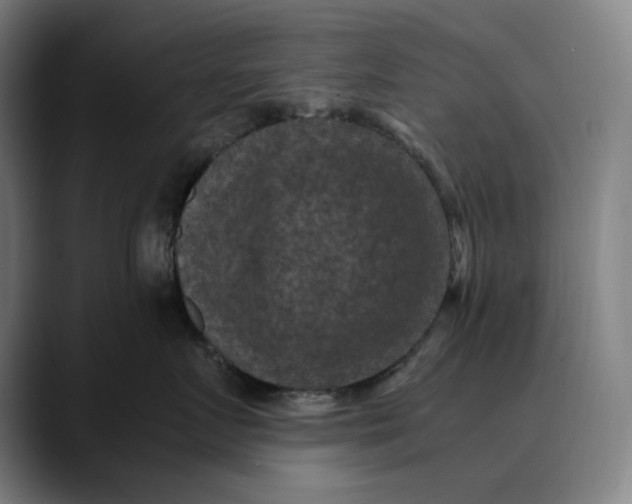 X0000089690719200707121336