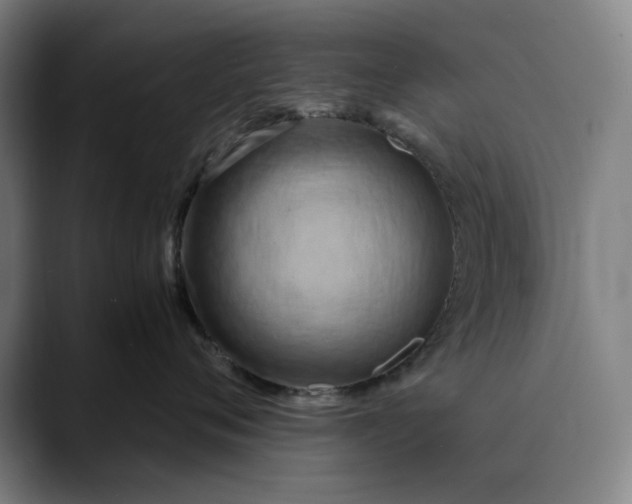 X0000089690720200707121336