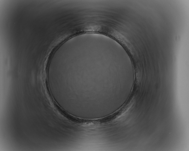 X0000089690721200707121335