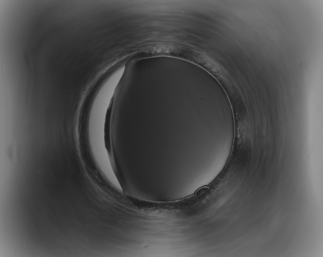 X0000089690722200707121335