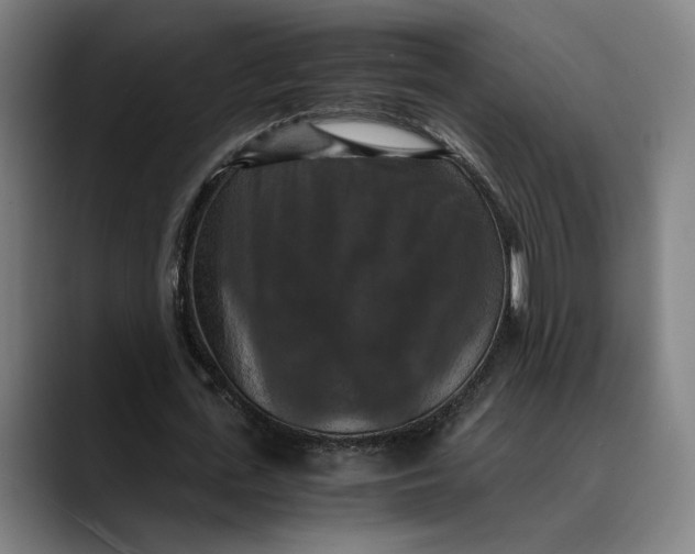 X0000089690723200707121335