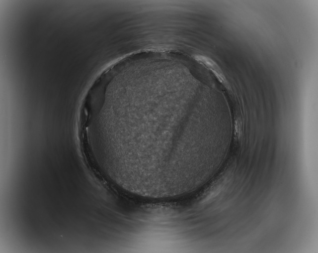 X0000089690724200707121335