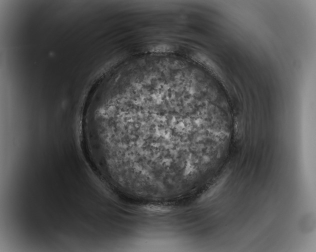 X0000089690725200707121335