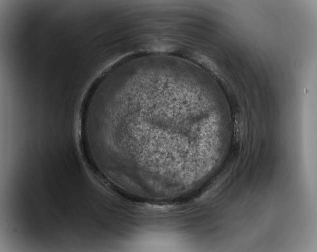 X0000089690726200707121335