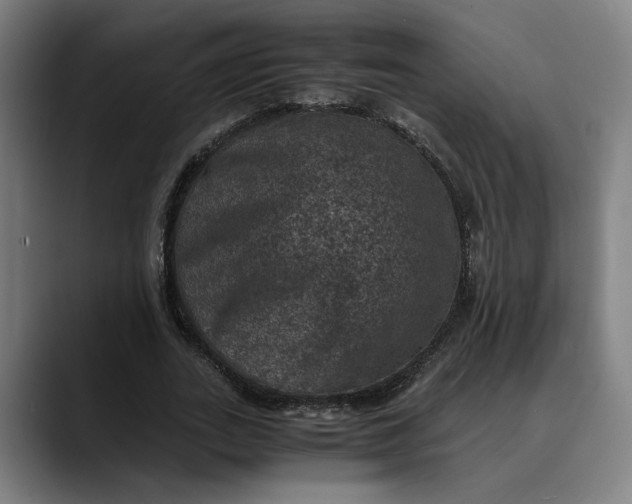 X0000089690727200707121335