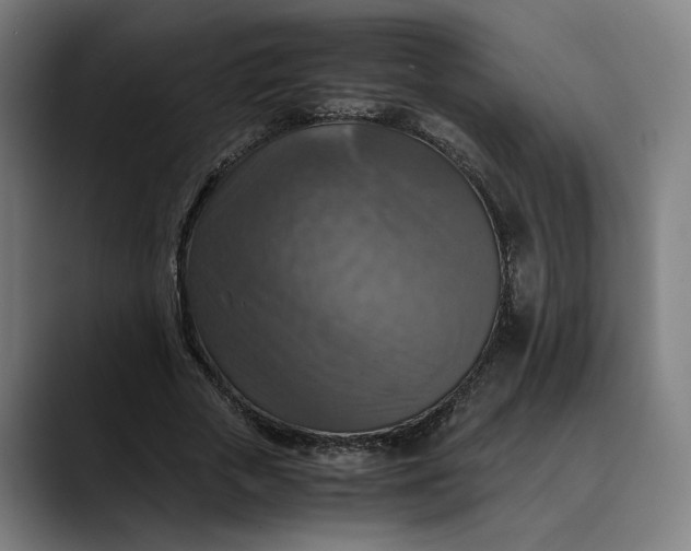 X0000089690729200707121335