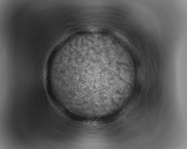 X0000089690730200707121335