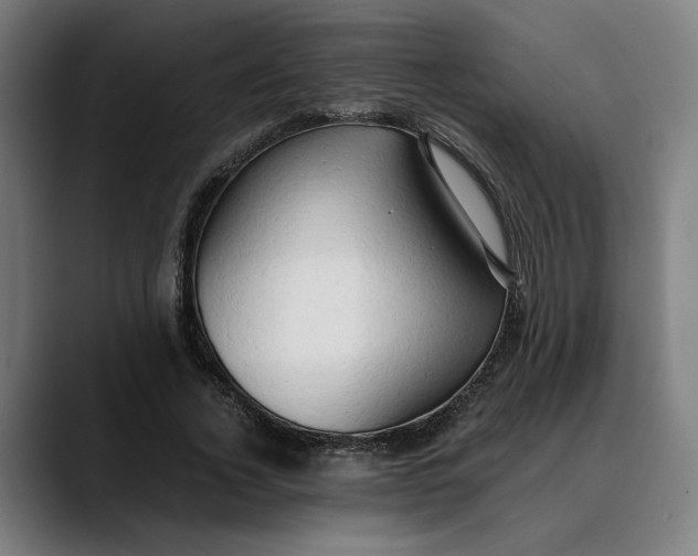 X0000089690732200707121335