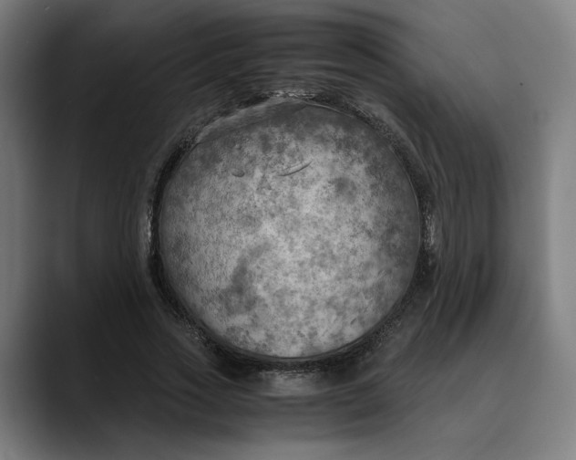 X0000089690733200707121335