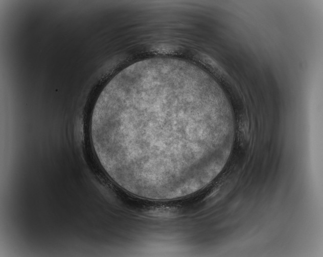 X0000089690734200707121336