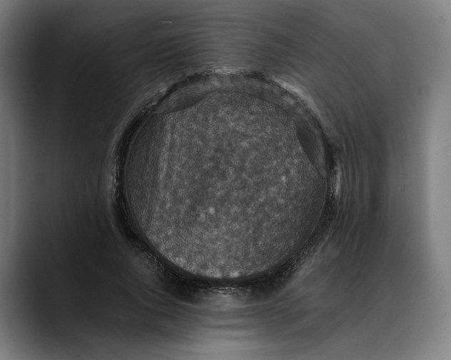 X0000089690736200707121336