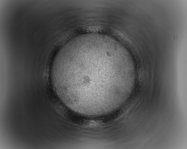 X0000089690737200707121336