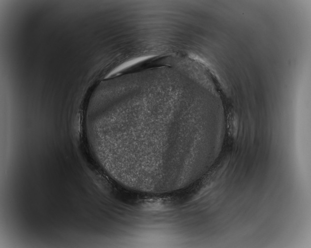 X0000089690740200707121336