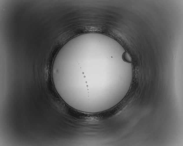 X0000089690741200707121336