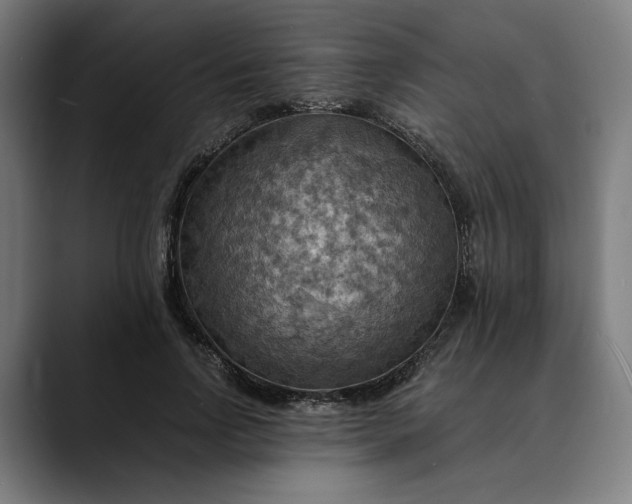 X0000089690742200707121336