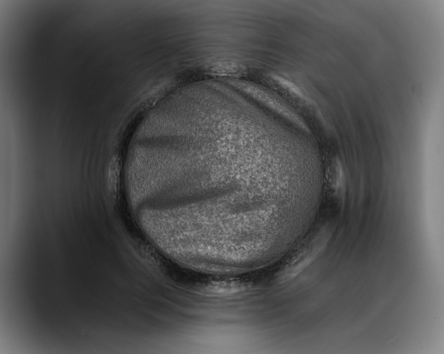 X0000089690744200707121336