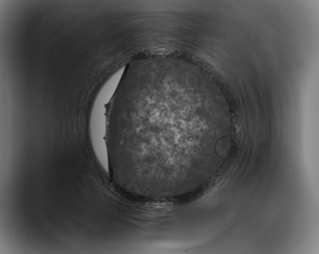 X0000089690745200707121336