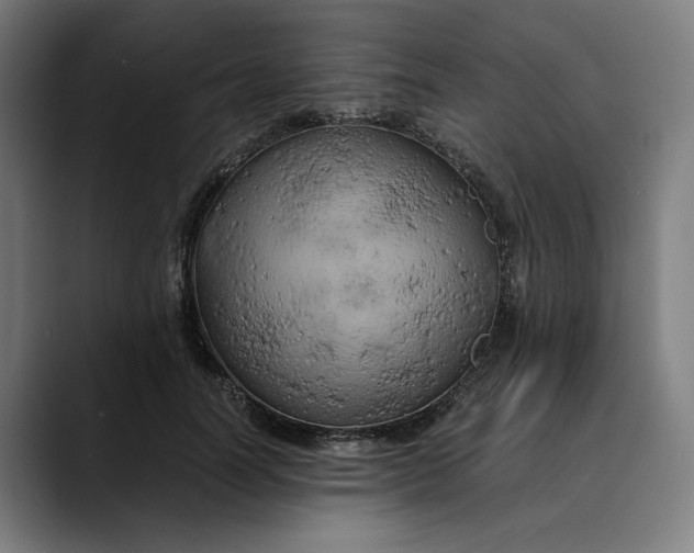 X0000089690746200707121336