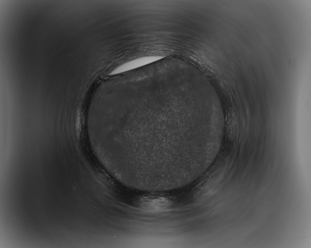 X0000089690747200707121336