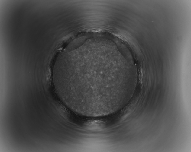 X0000089690748200707121336