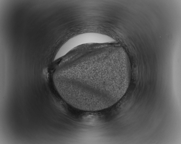 X0000089690750200707121336