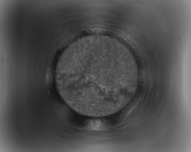 X0000089690751200707121336