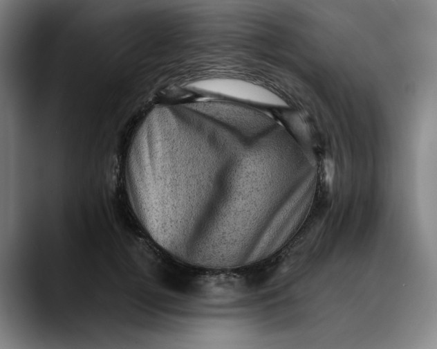 X0000089690752200707121336