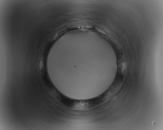 X0000089690754200707121336