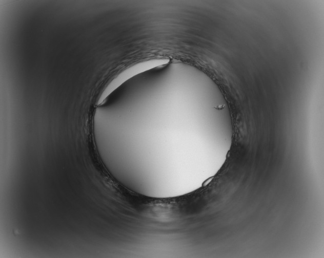 X0000089690756200707121336