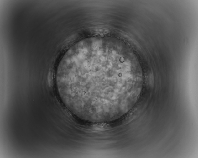 X0000089690757200707121336