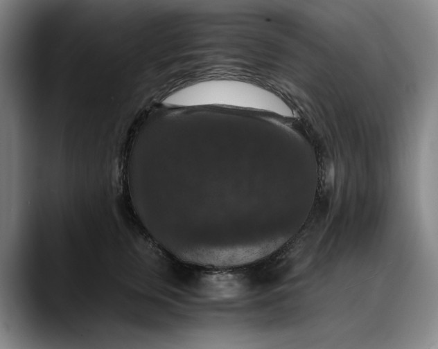 X0000089690759200707121336