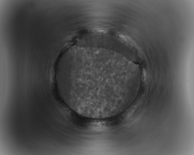 X0000089690760200707121336