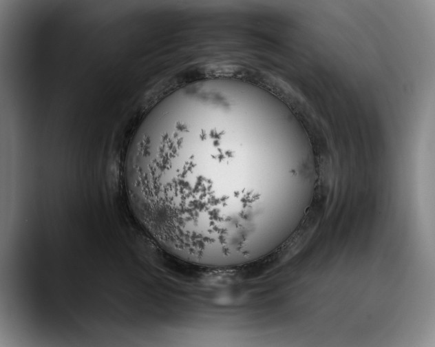 X0000089690761200707121336