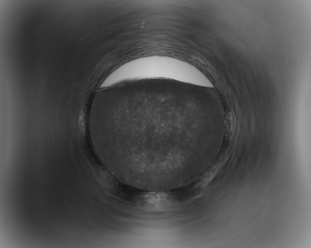 X0000089690762200707121336