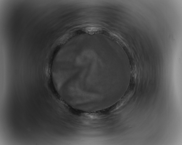 X0000089690763200707121336