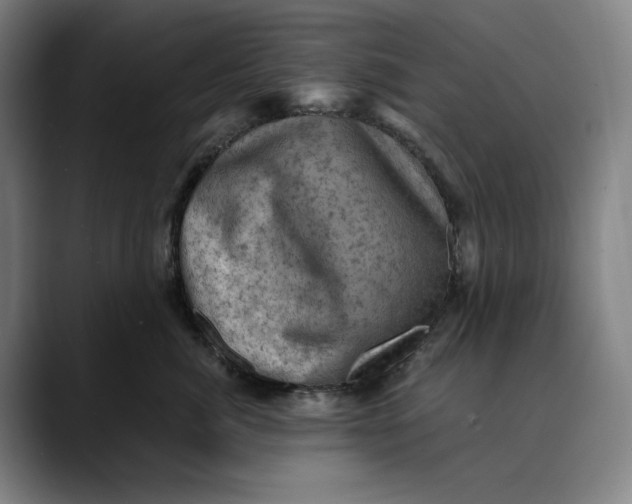 X0000089690764200707121336