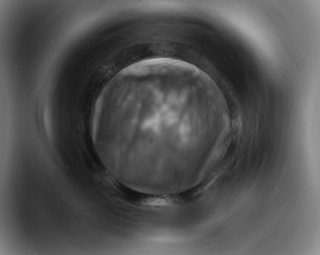 X0000089690765200707121336