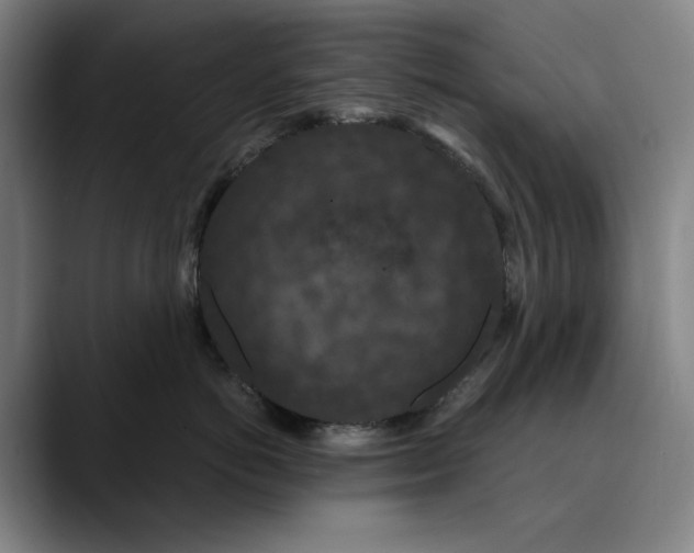 X0000089690766200707121336