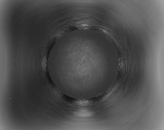 X0000089690767200707121336