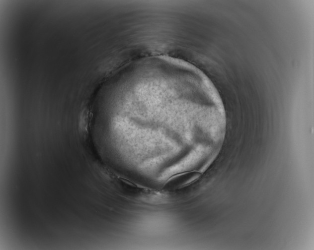 X0000089690768200707121336