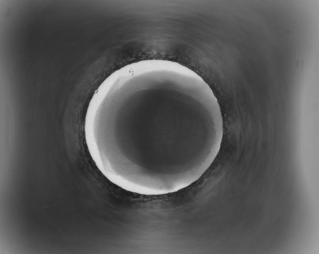 X0000089690769200707121335