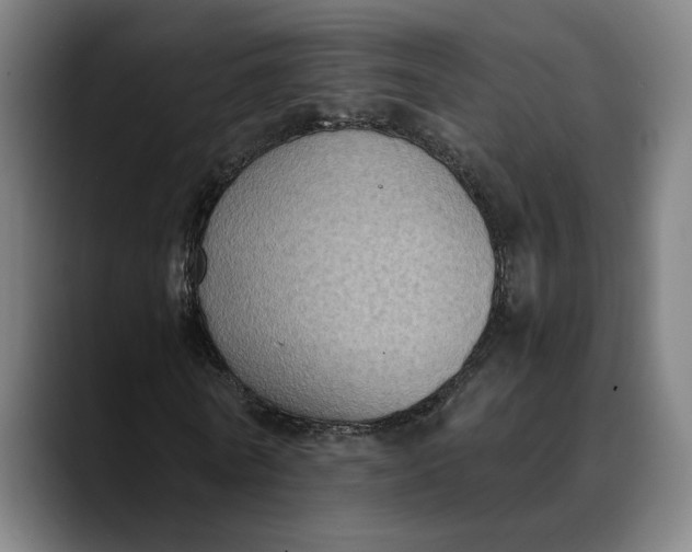 X0000089690770200707121335