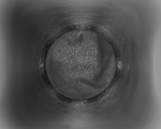 X0000089690771200707121335