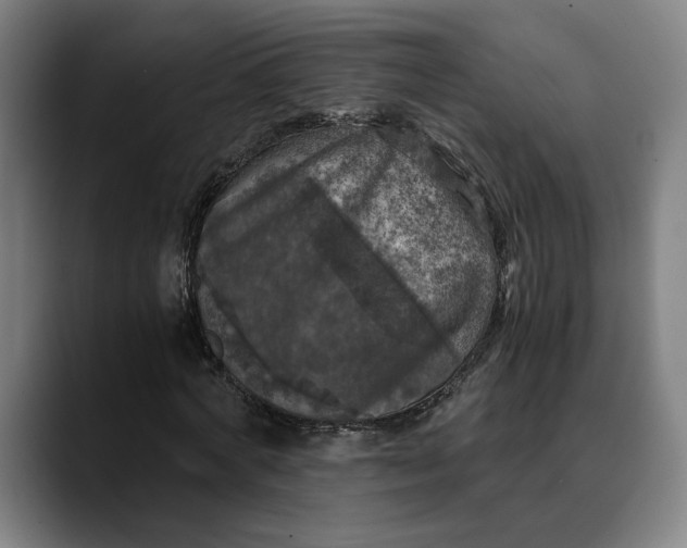 X0000089690772200707121335