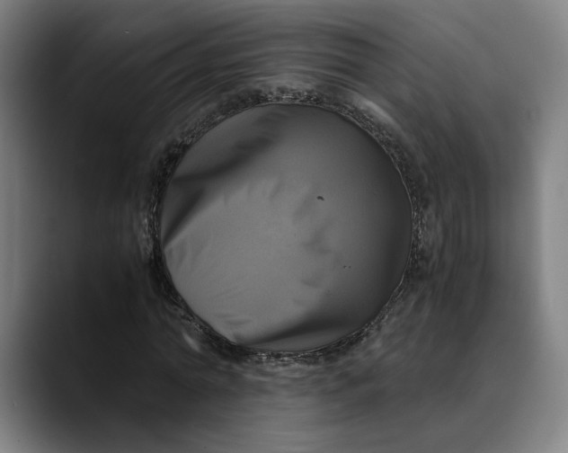 X0000089690774200707121335