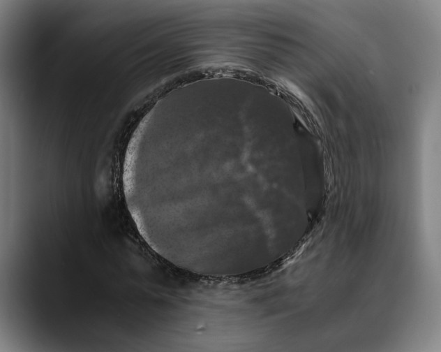 X0000089690775200707121335