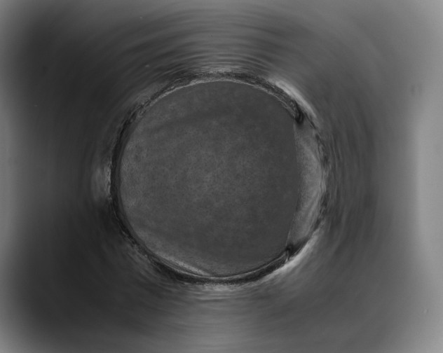 X0000089690777200707121335