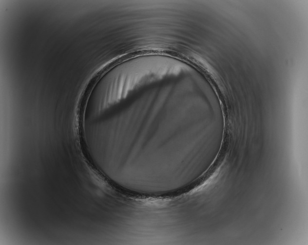 X0000089690779200707121335